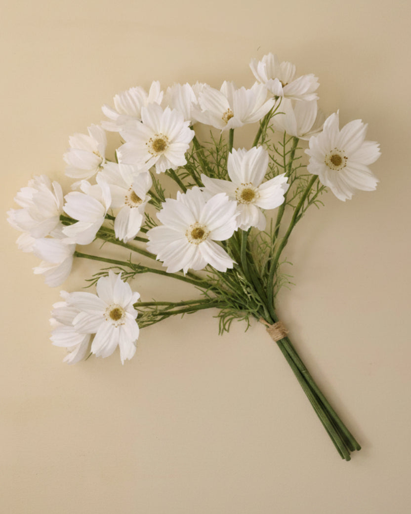 White Cosmos Bundle in a bundle