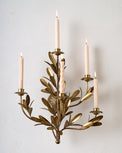 Gracie Multi Wall Sconce