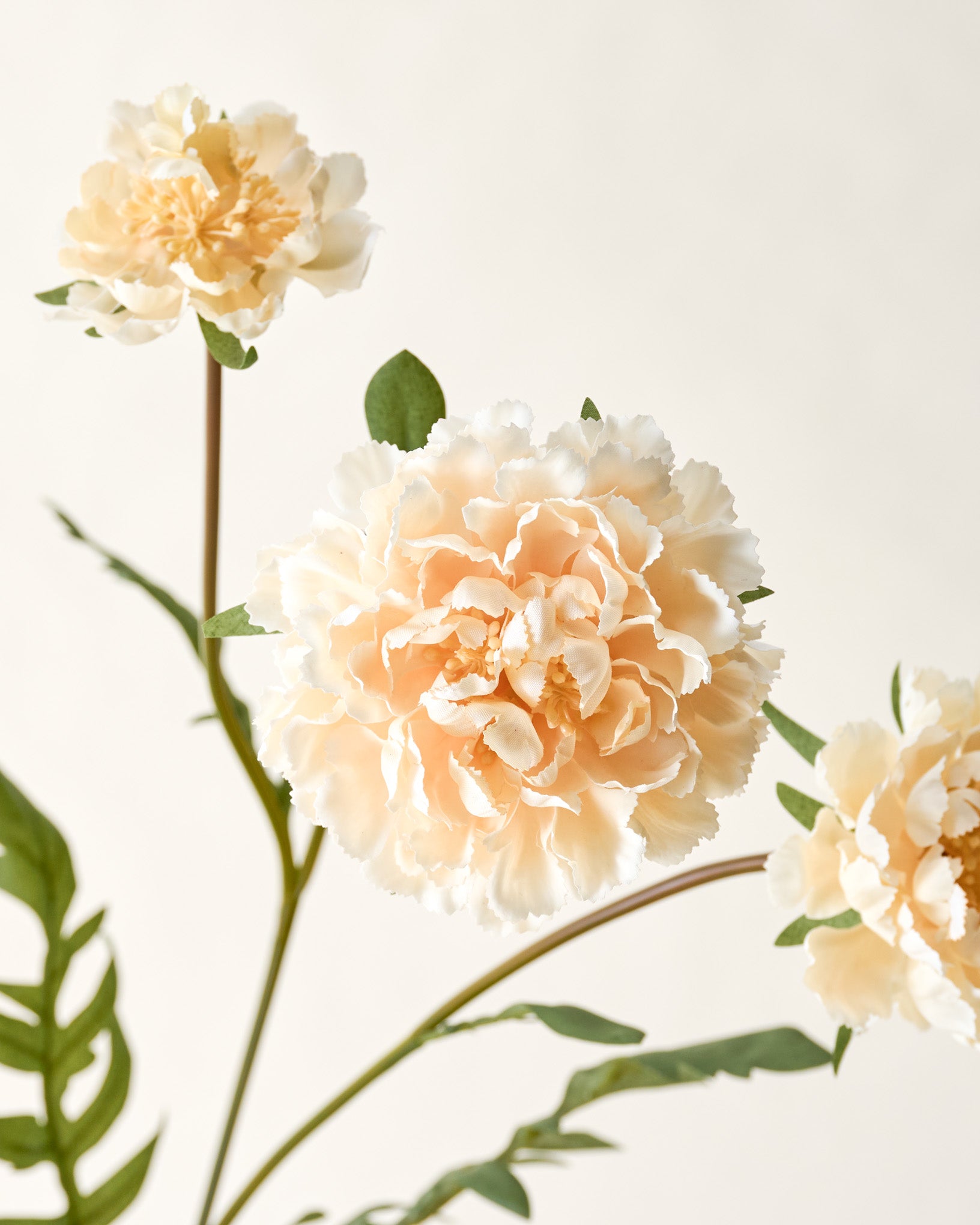 Real Touch Cream Scabiosa Stem close up
