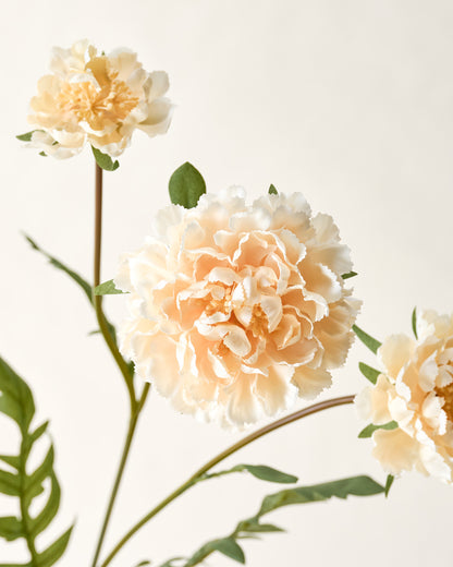 Real Touch Cream Scabiosa Stem close up