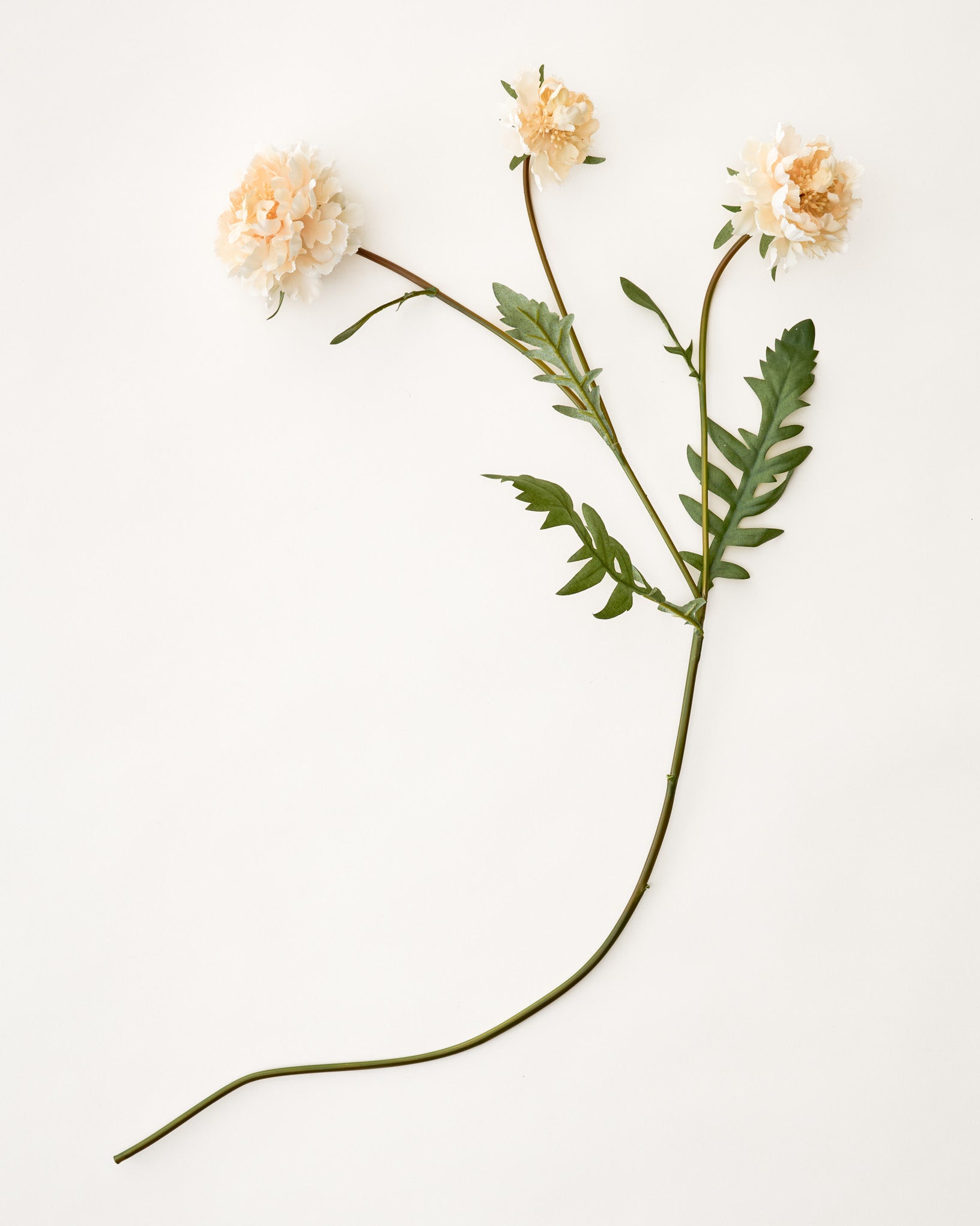 Real Touch Cream Scabiosa Stem