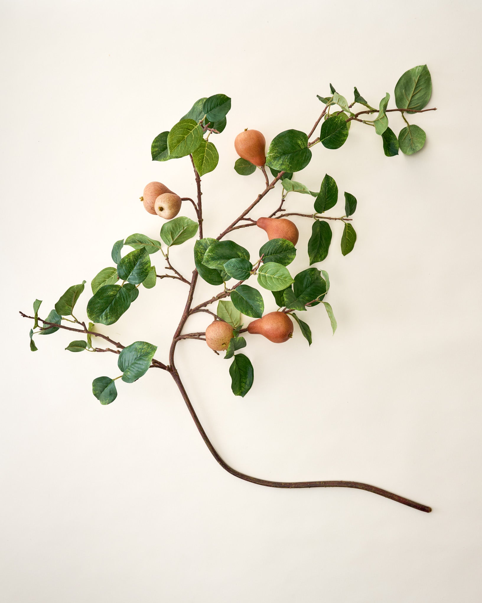 Oversized Pear Stem
