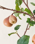 Oversized Pear Stem close up