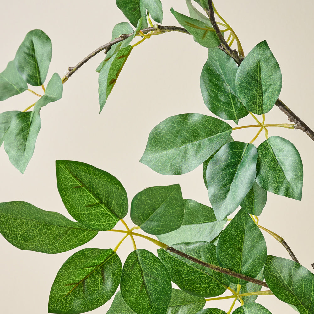 Oversized Schefflera Leaf Branch up close