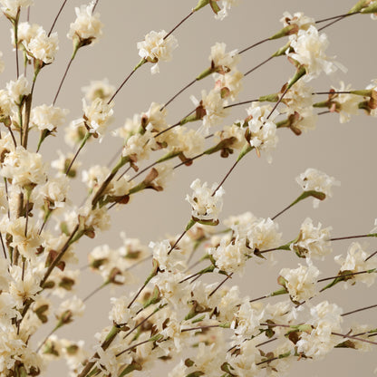 Cream Wildflower Mix up close