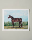 Quarter Horse Fine Art Print - 8 x 10