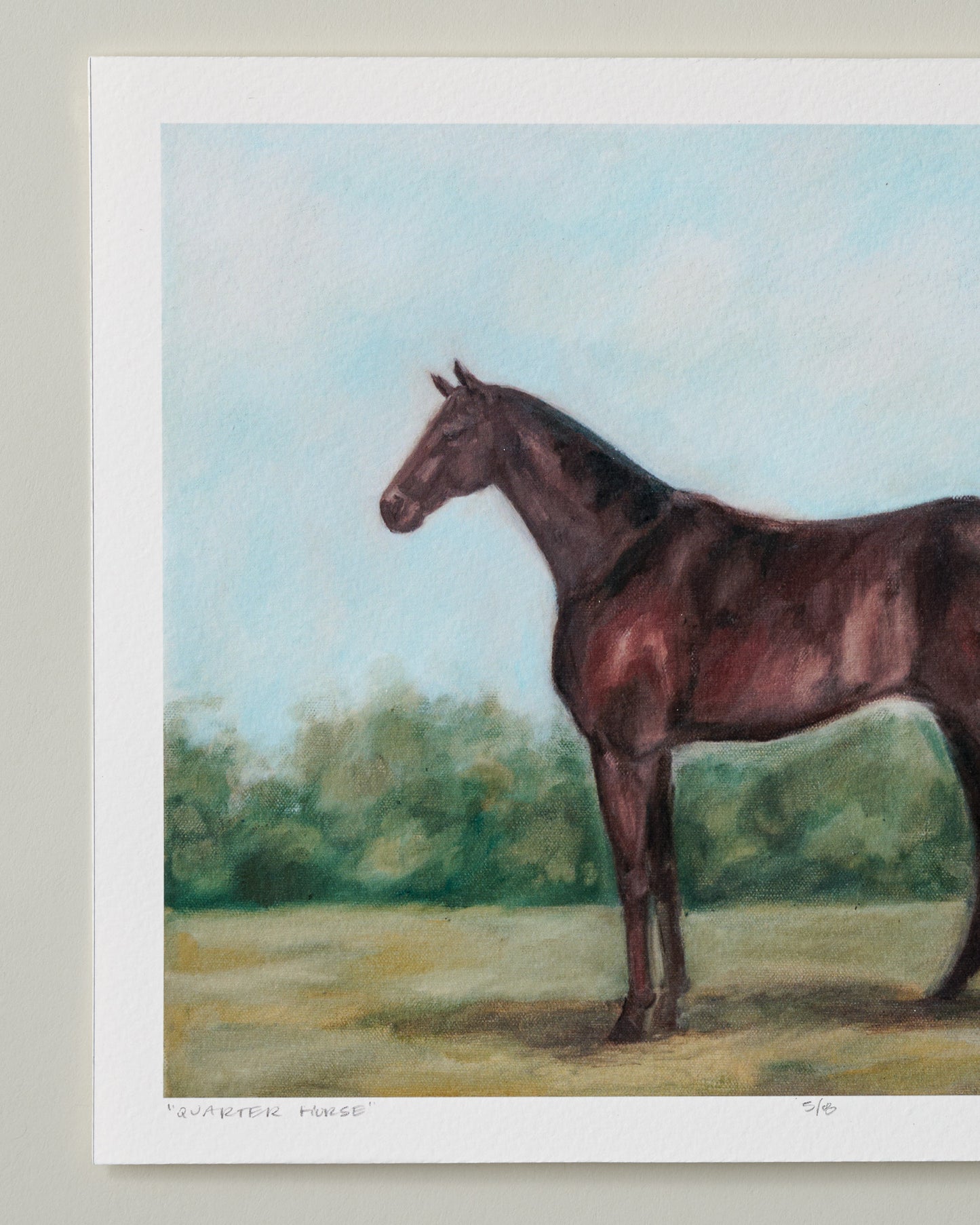 Quarter Horse Fine Art Print - 8 x 10