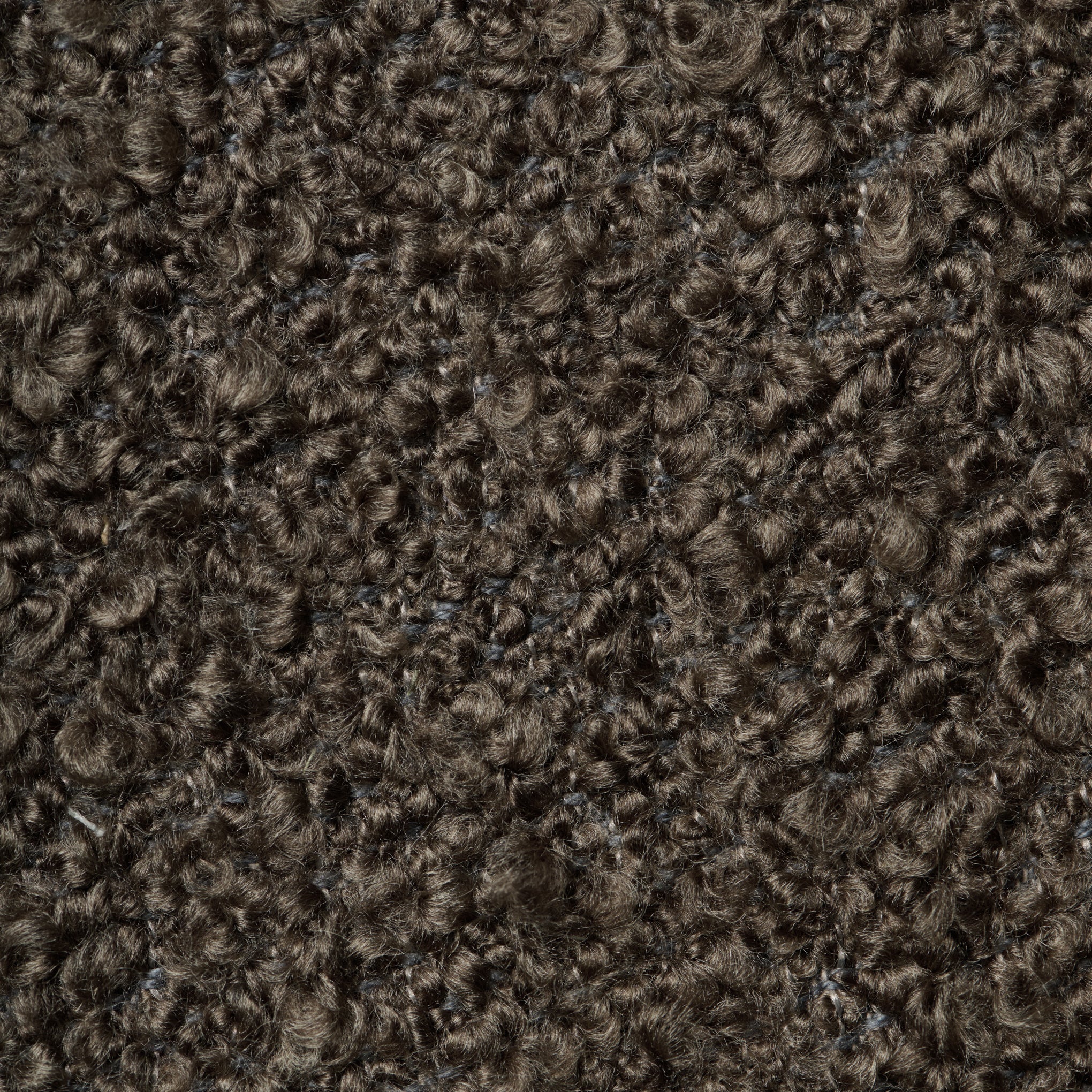 dark brown boucle fabric swatch