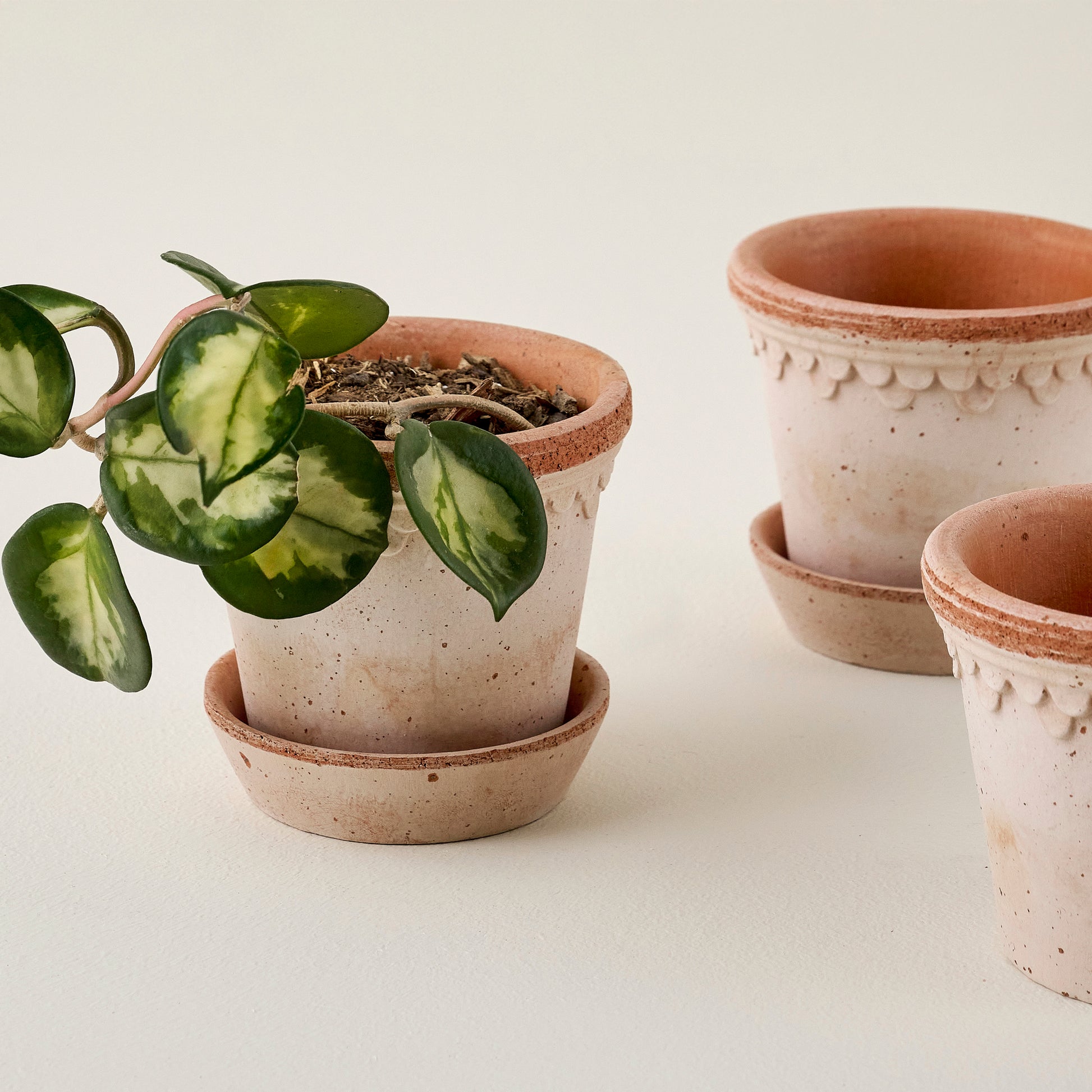 Bergs Københavner Small Pot Set of Three shown with plant