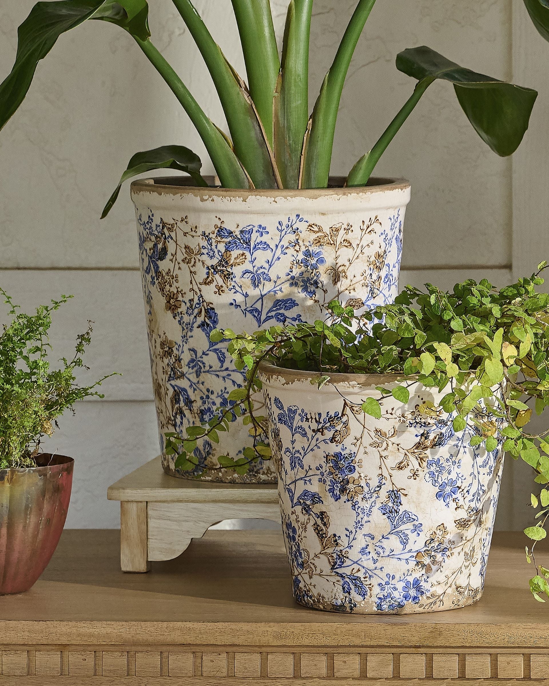 next plant pots Blue and White Distressed Planter