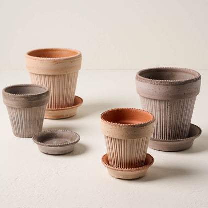 Terracotta Dotted Bergs Pots with grey dotted bergs pots