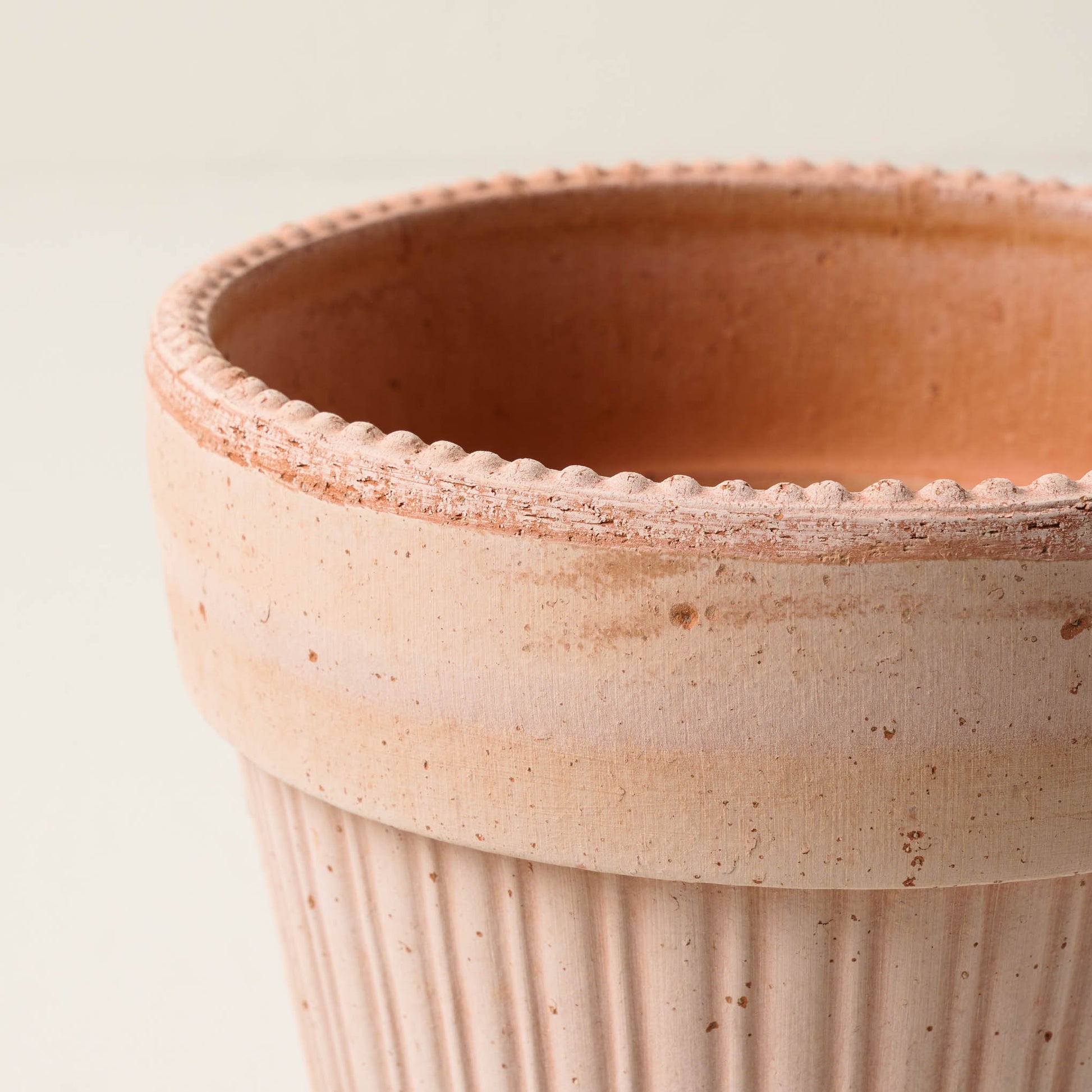 Terracotta Dotted Bergs Pot close up