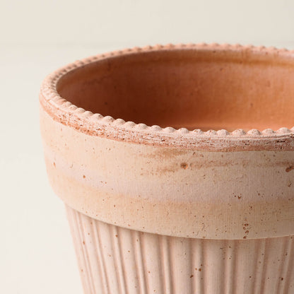 Terracotta Dotted Bergs Pot close up