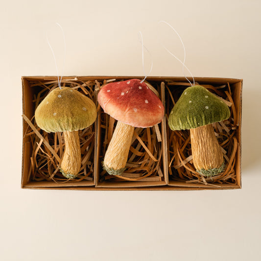 Wild Mushroom Ornament, Set of 3 shown in box