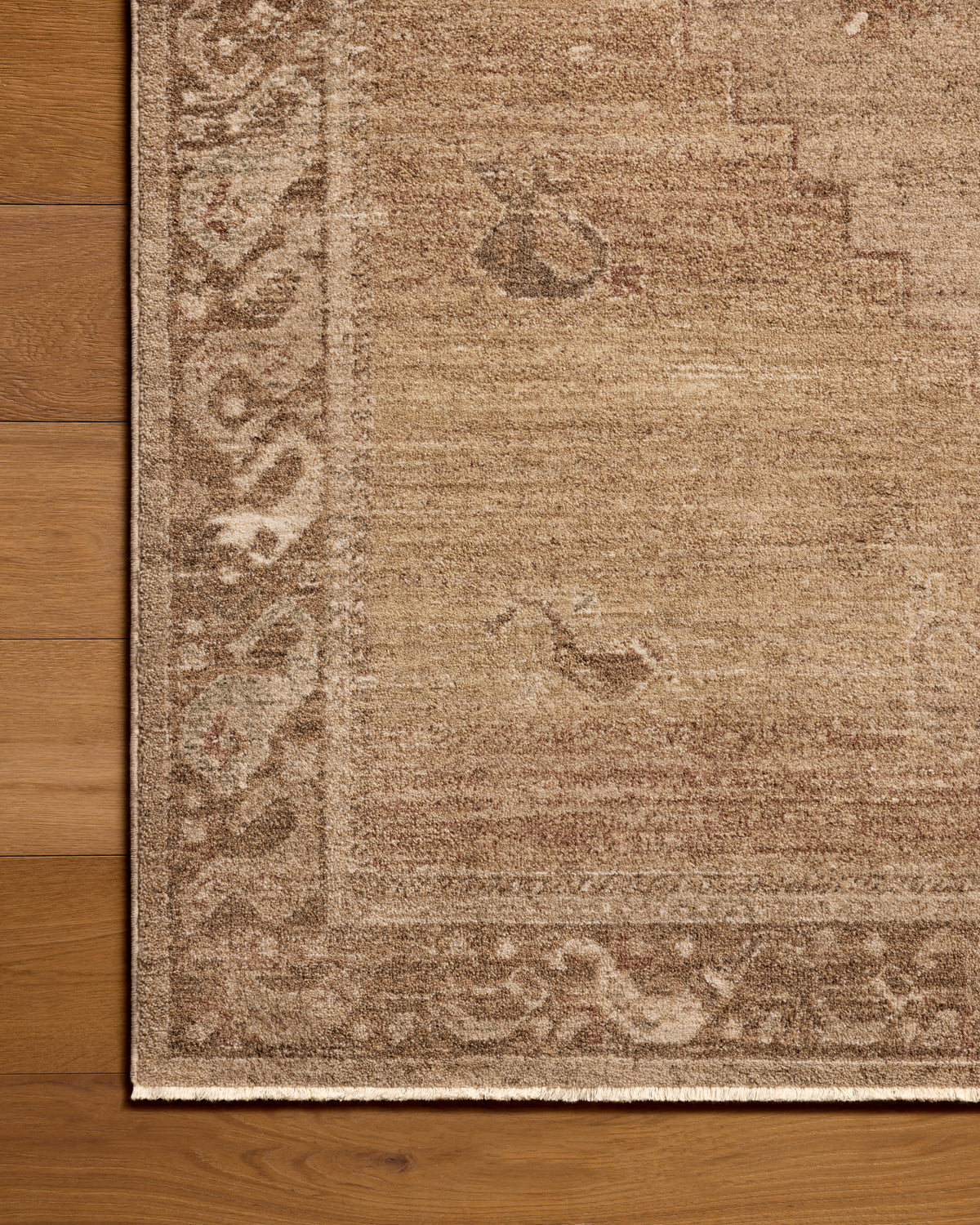 Storrie Spice Beige