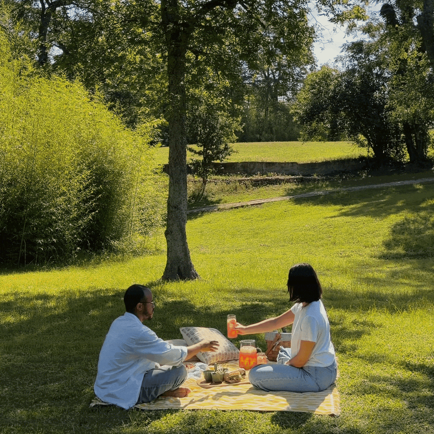 GIF of people having a picnic outside
