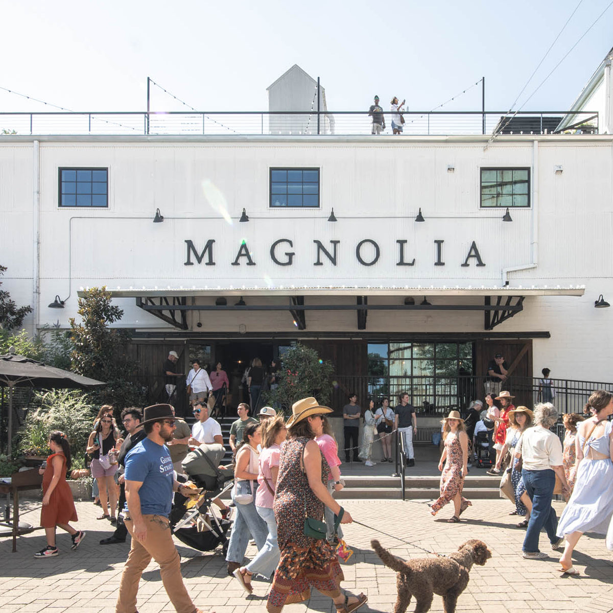A bustling outdoor scene in front of a white building with large black 'MAGNOLIA' lettering across the facade. Numerous people are walking, standing, and entering the entrance under a bright sky, with a dog visible in the foreground.