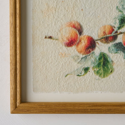 Heirloom Peach Study close up of wood trim frame