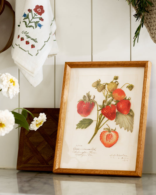 Fresh Strawberry Botanical Framed Print shown on countertop