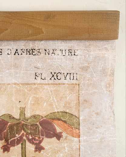 Antique Botanical Study II Tapestry up close