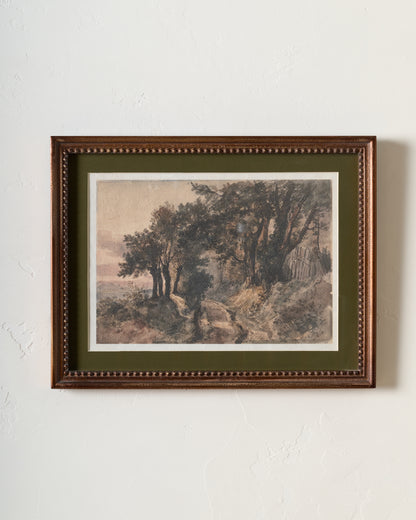 Oak View Landscape