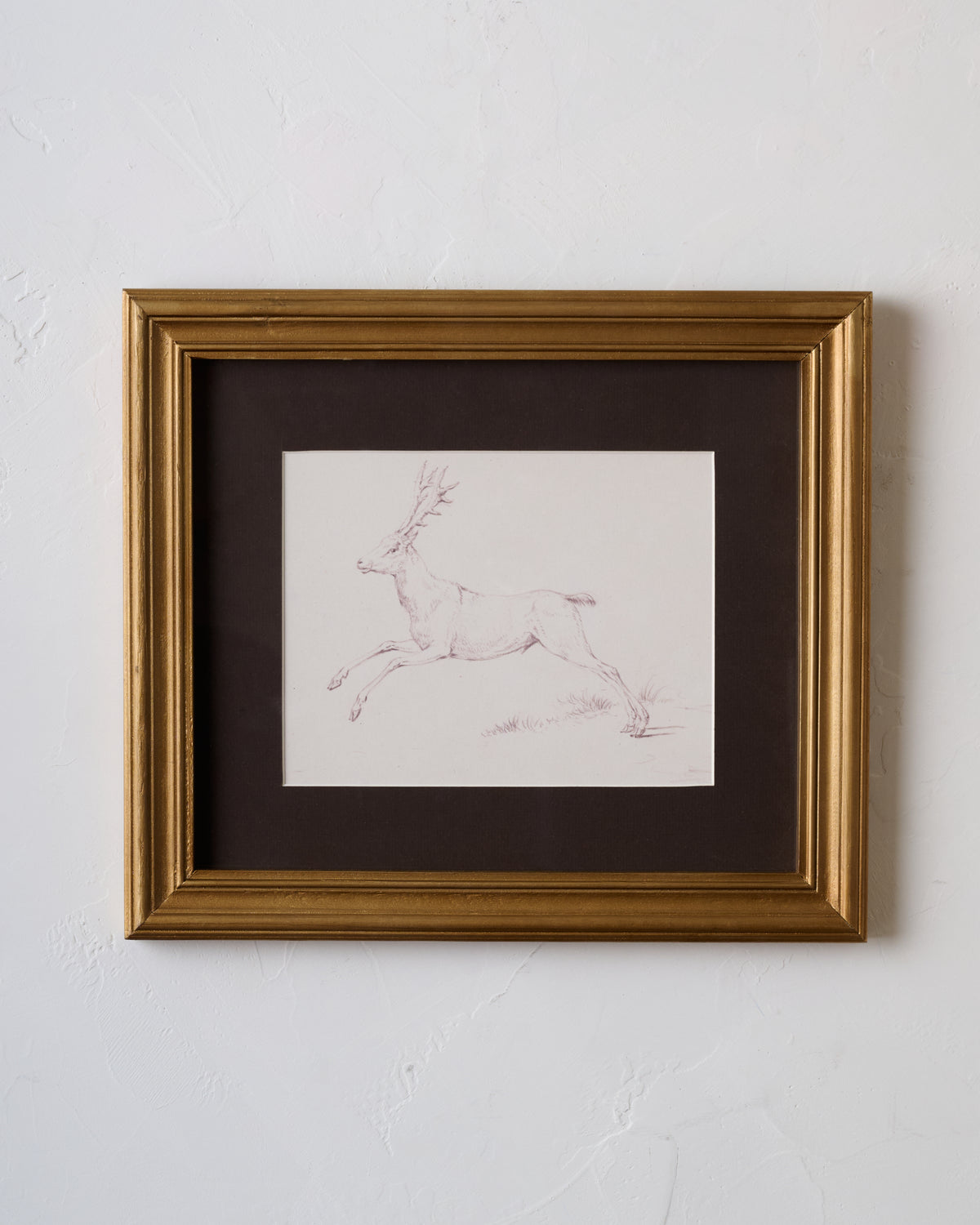 Woodland Deer Sketch
