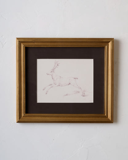Woodland Deer Sketch