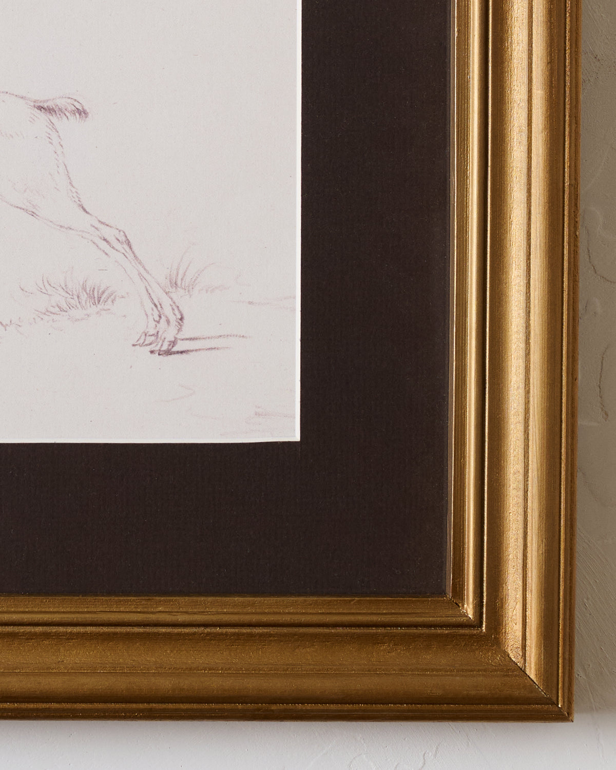 Woodland Deer Sketch