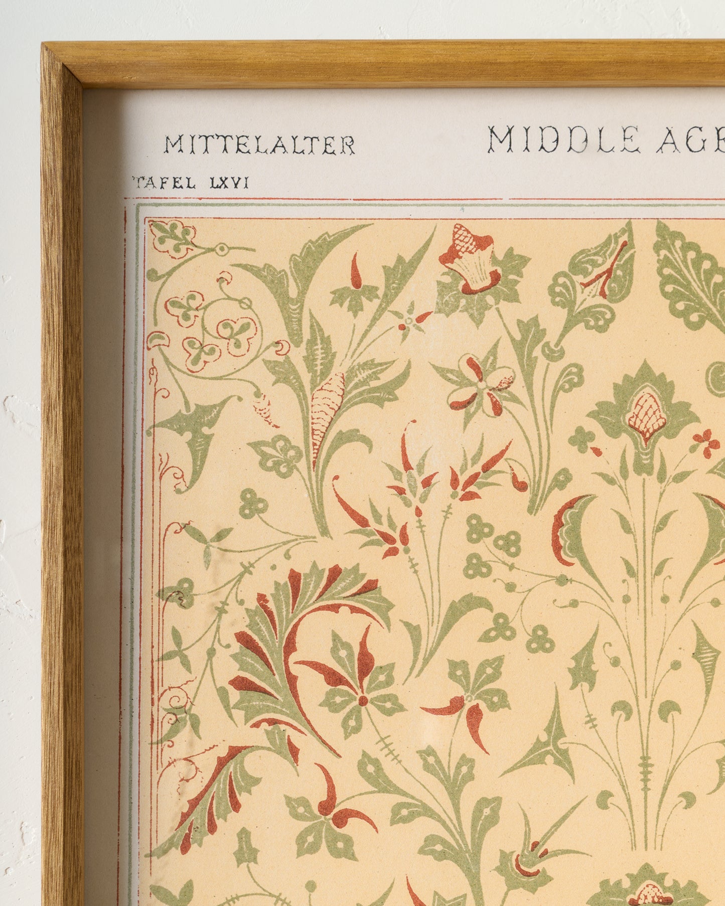Botanical Renaissance Poster