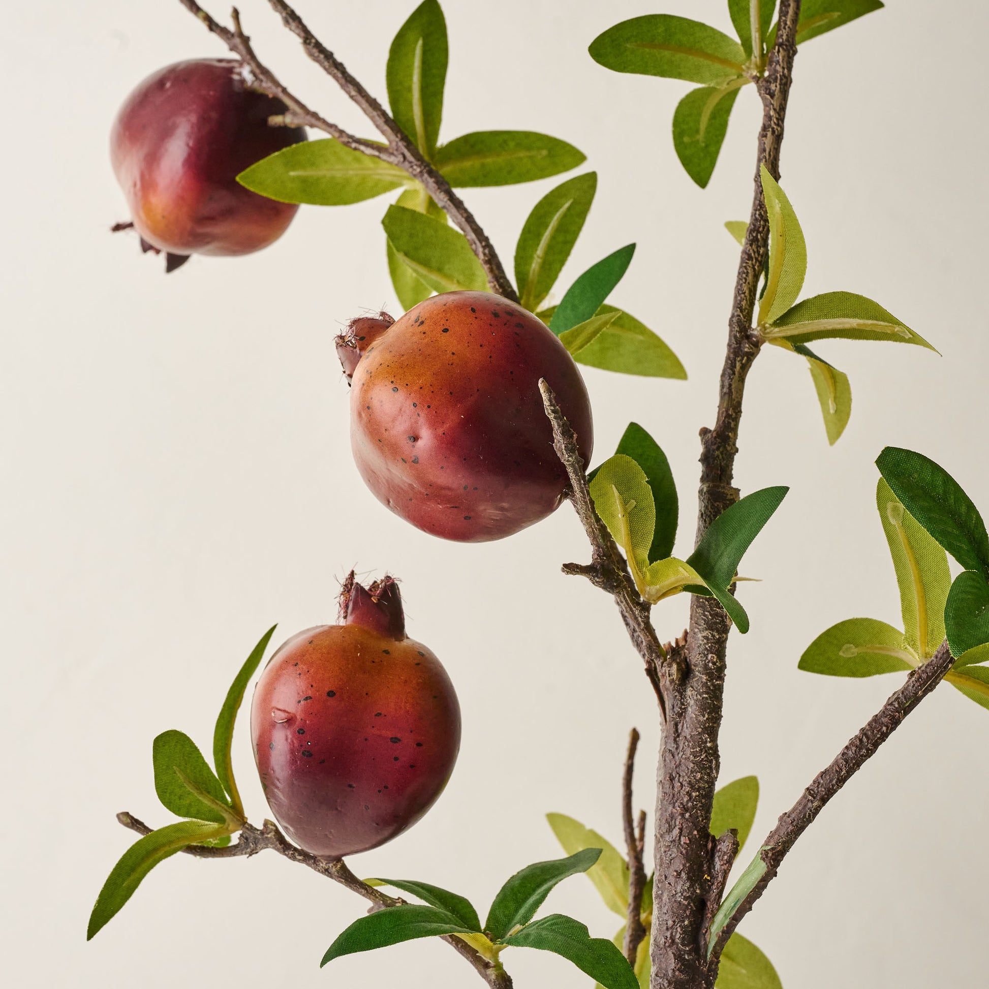 Pomegranate Spray up close