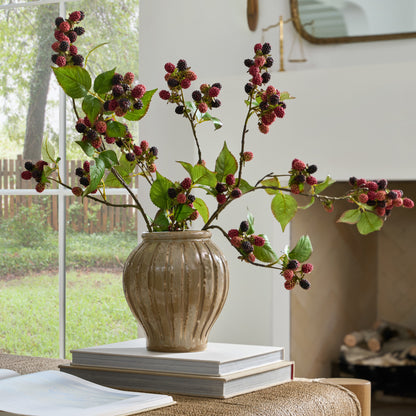 Blackberry Vine Stem shown in vase