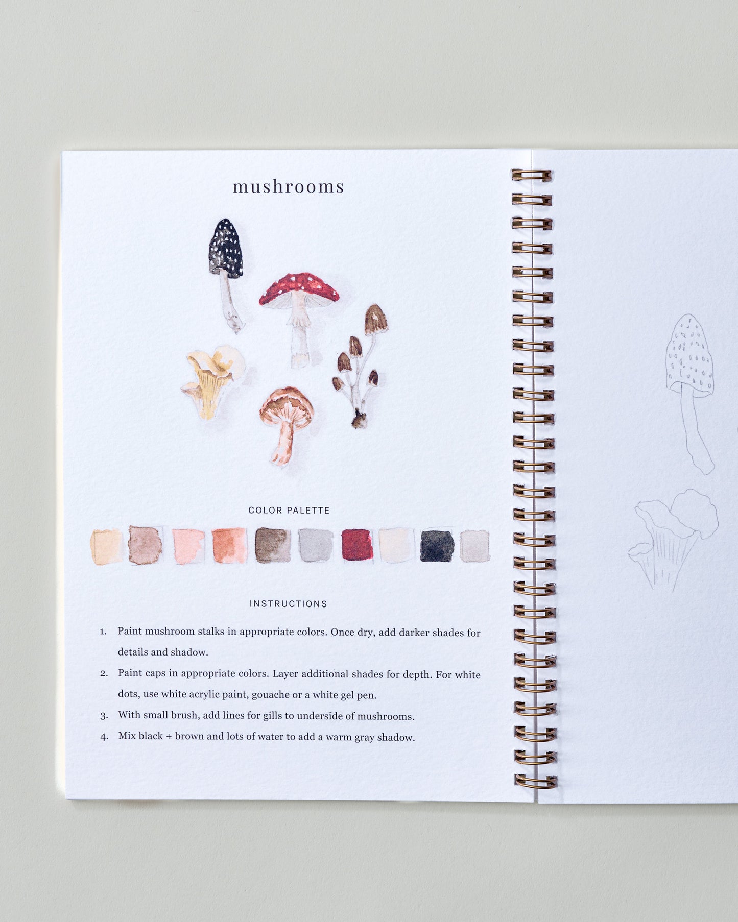 Woodland Watercolor Workbook
