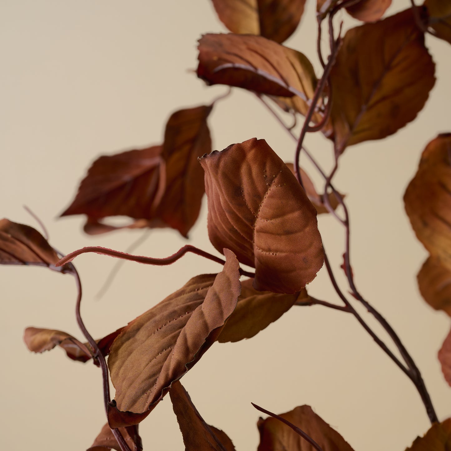 Magnolia Leaf Spray up close