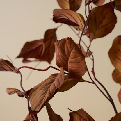 Magnolia Leaf Spray up close