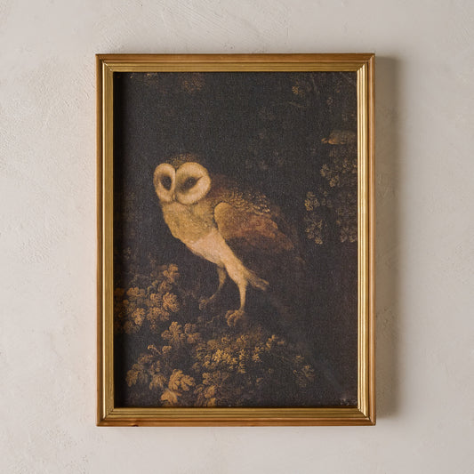 Vintage Nocturnal Reverie