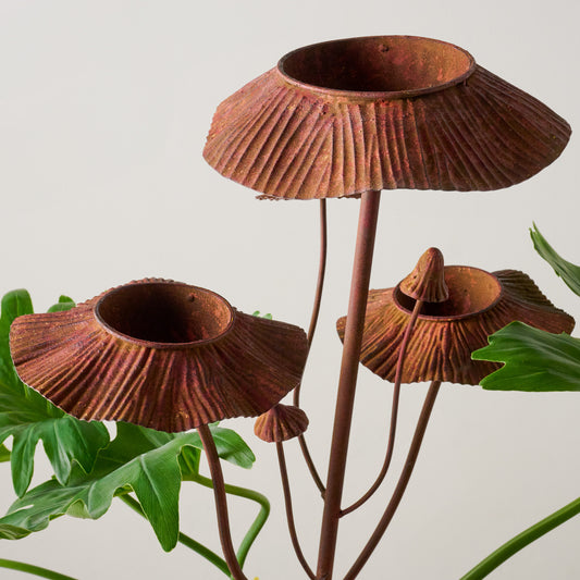 Mushroom Aged Iron Rain Catcher