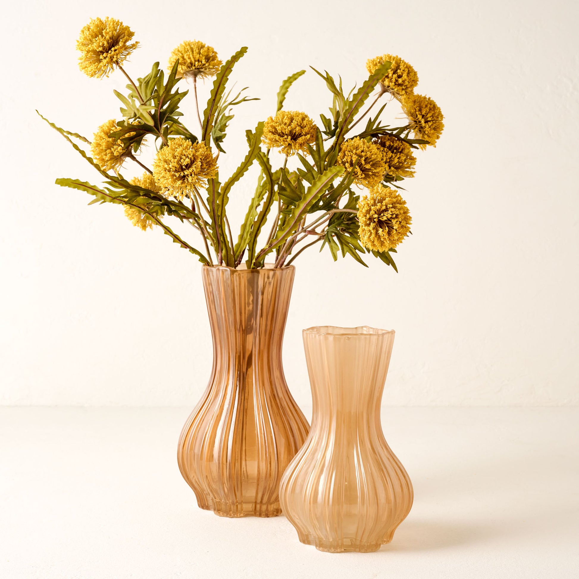 Yellow Large Thistle Bush shown in pink/orange vase next to empty smaller vase nearby