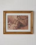 Vintage Collections Still Life