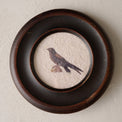 Vintage Framed Bird Print