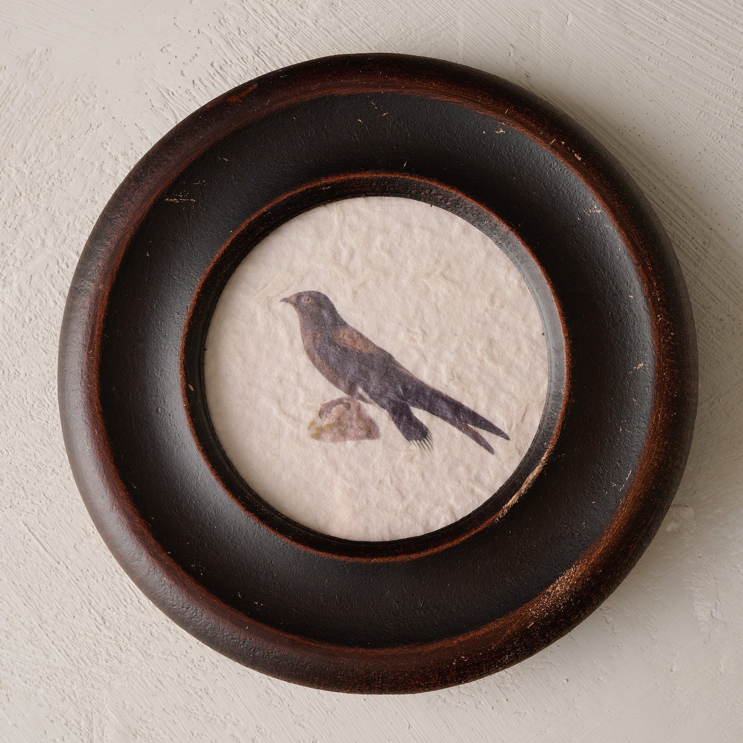 Vintage Framed Bird Print