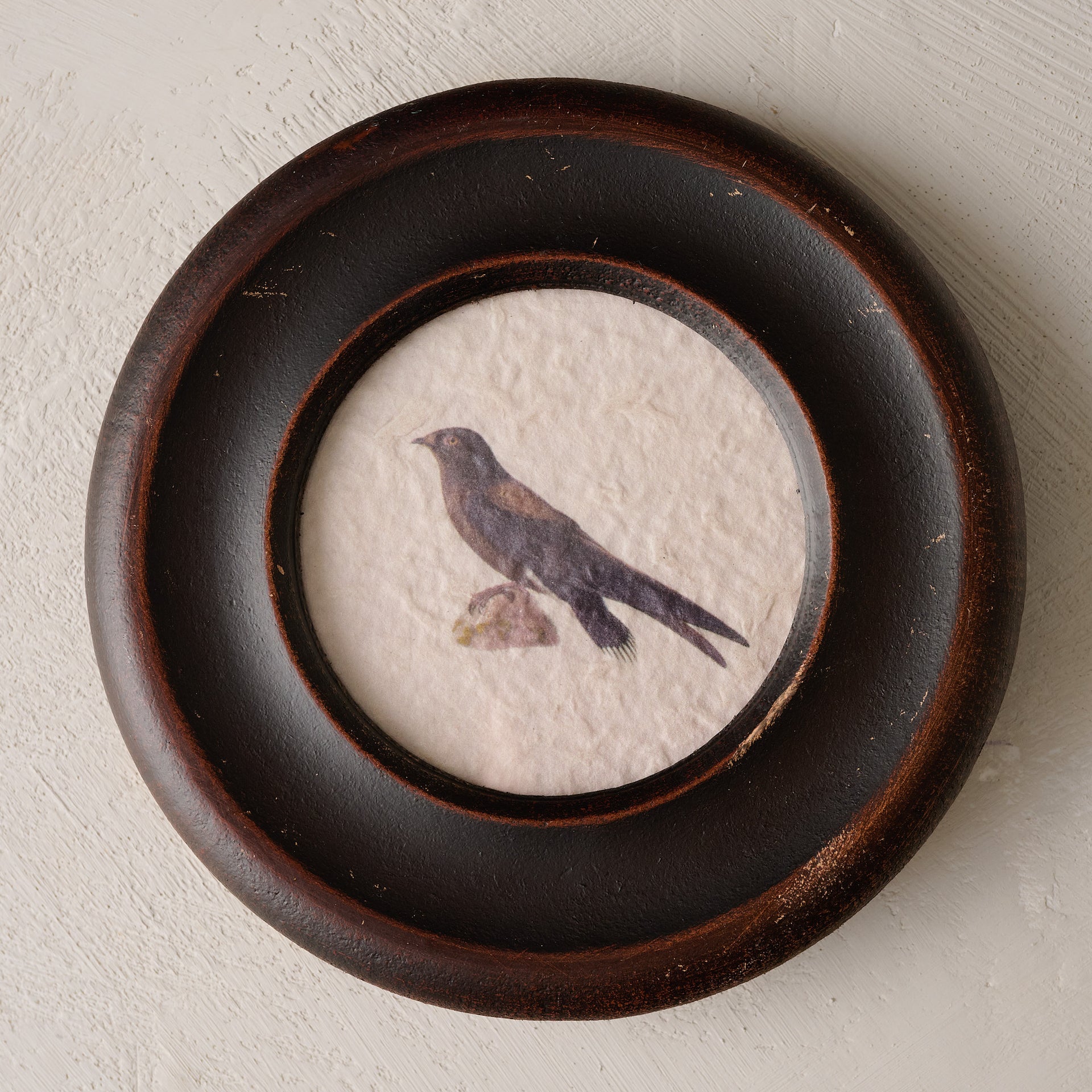 Vintage Framed Bird Print