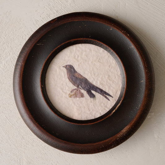 Vintage Framed Bird Print