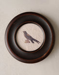 Vintage Framed Bird Print