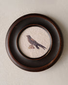 Vintage Framed Bird Print