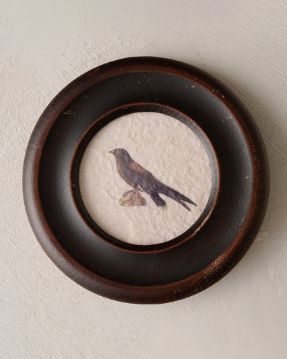 Vintage Framed Bird Print