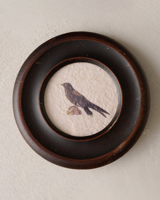 Vintage Framed Bird Print