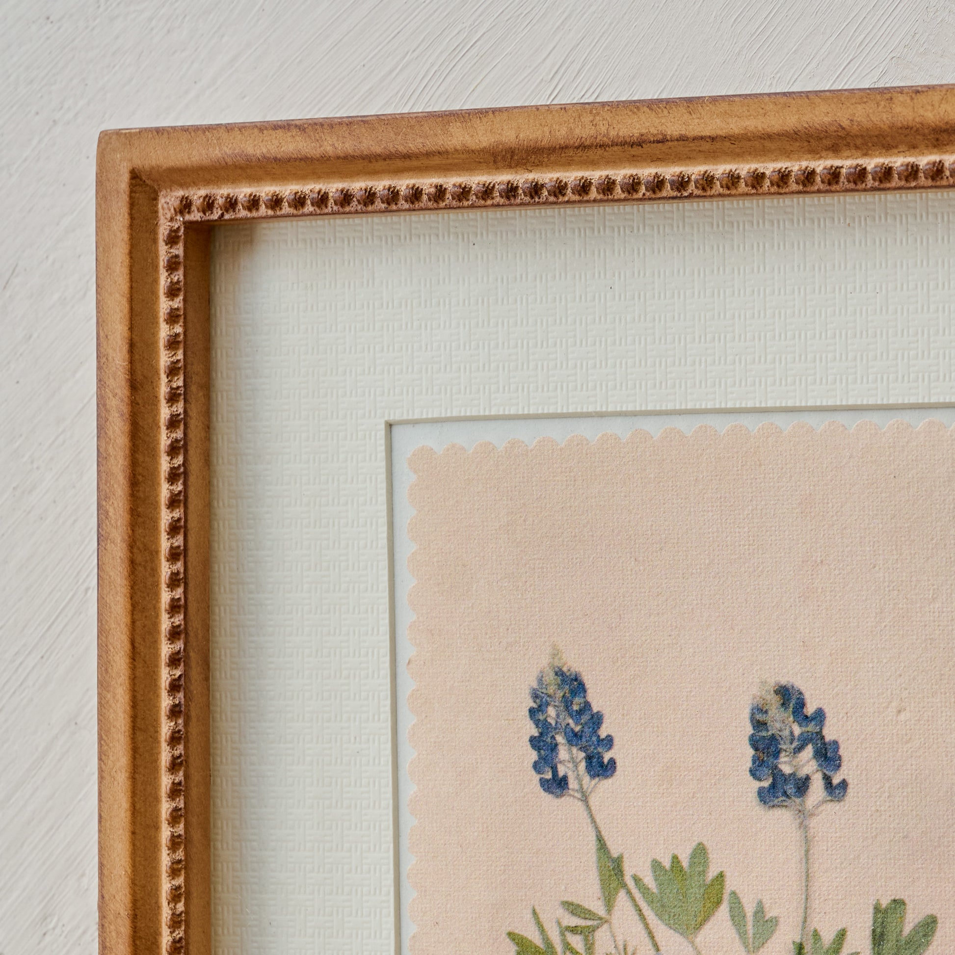 "Bluebonnets from the Farm" Jo's Framed Herbarium Print close up view