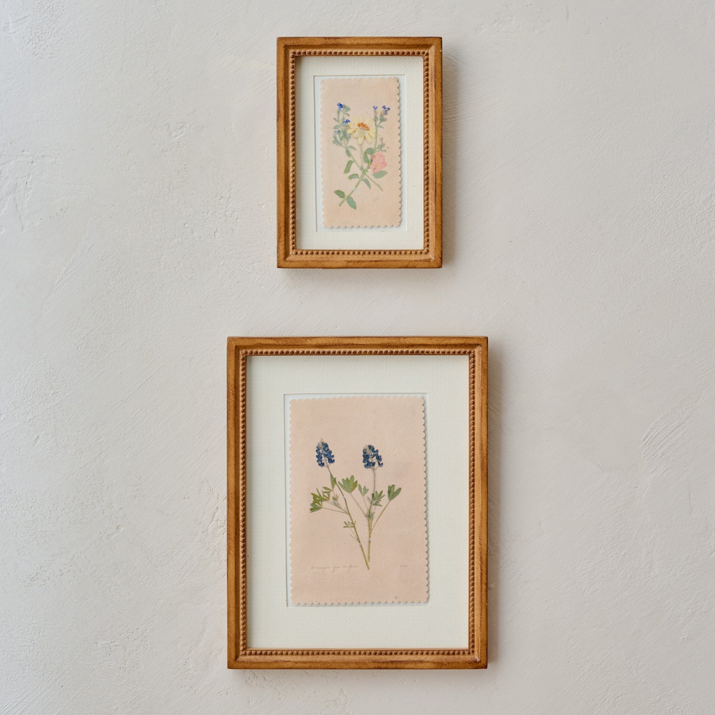 "Bluebonnets from the Farm" Jo's Framed Herbarium Print paired with framed print 