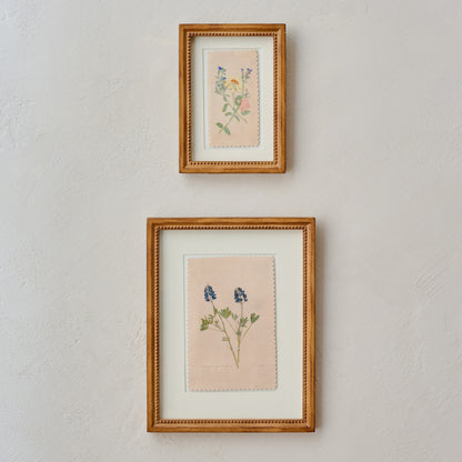 "Bluebonnets from the Farm" Jo's Framed Herbarium Print paired with framed print 