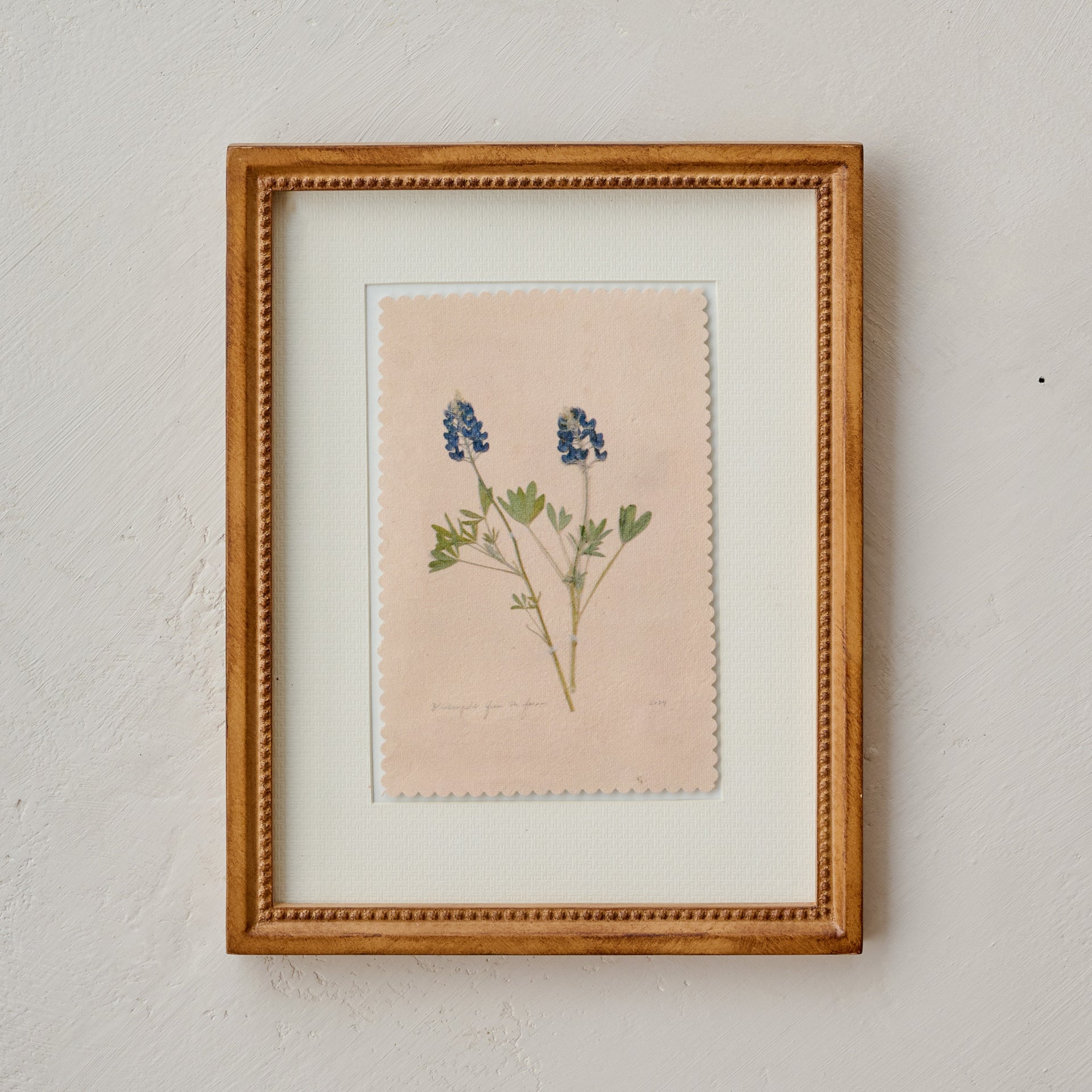 "Bluebonnets from the Farm" Framed Herbarium Print